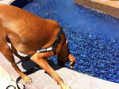 Oli on Fountain edge