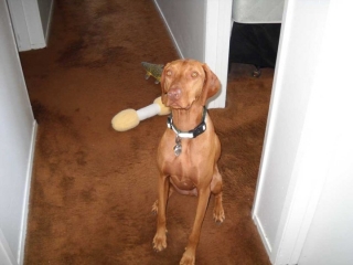 Oliver sitting in the Hallway