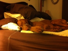 mid_nite_1