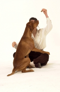 Tucker Nancy treat 3