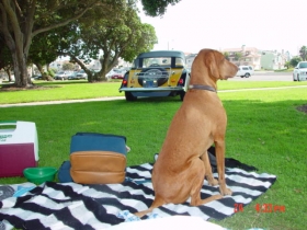 Tucker Picking His Favorite