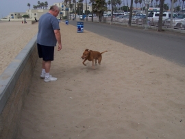 Tucker Brain Cramping