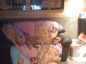 Tucker in the edit bay being T1