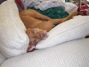Tucker relaxing on the sofa